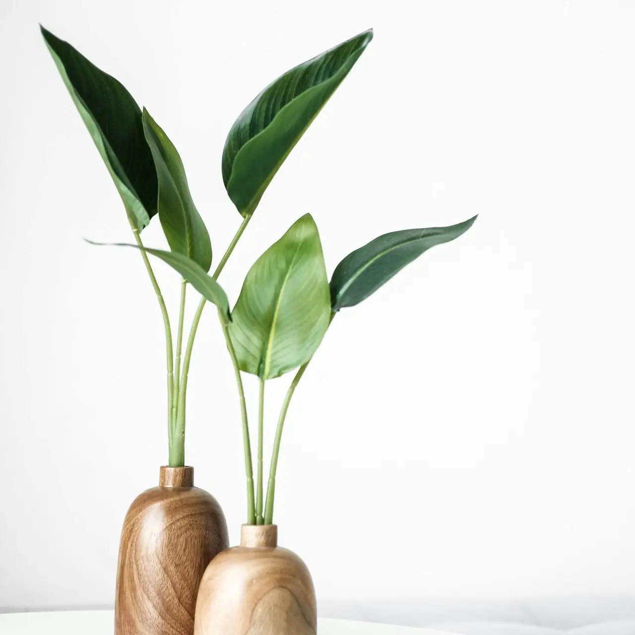 green plant on brown wooden vase